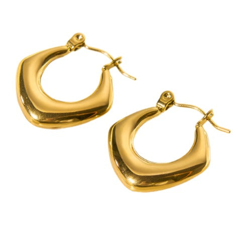 Golden Luxe Stainless Earrings