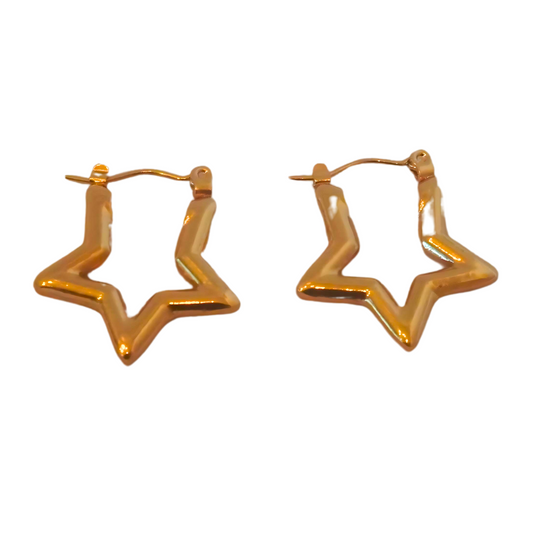 Golden Star Earrings